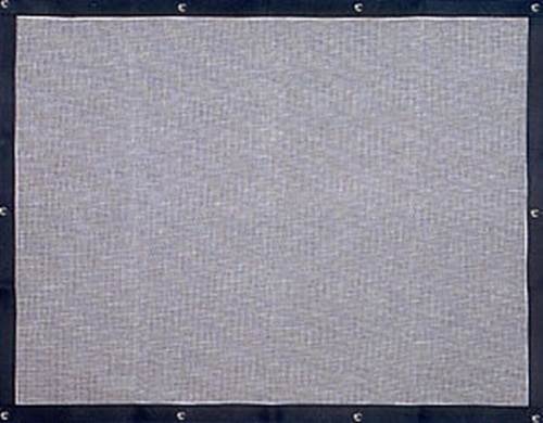 Plain Bug Screen - Peterbilt 377,378,379  (Extended Hood)